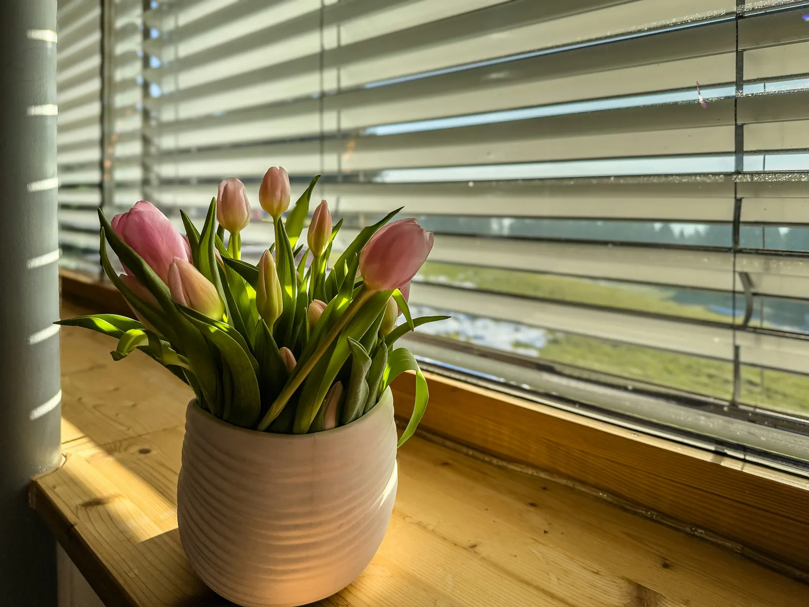 A vase of flowers sitting on a window sill